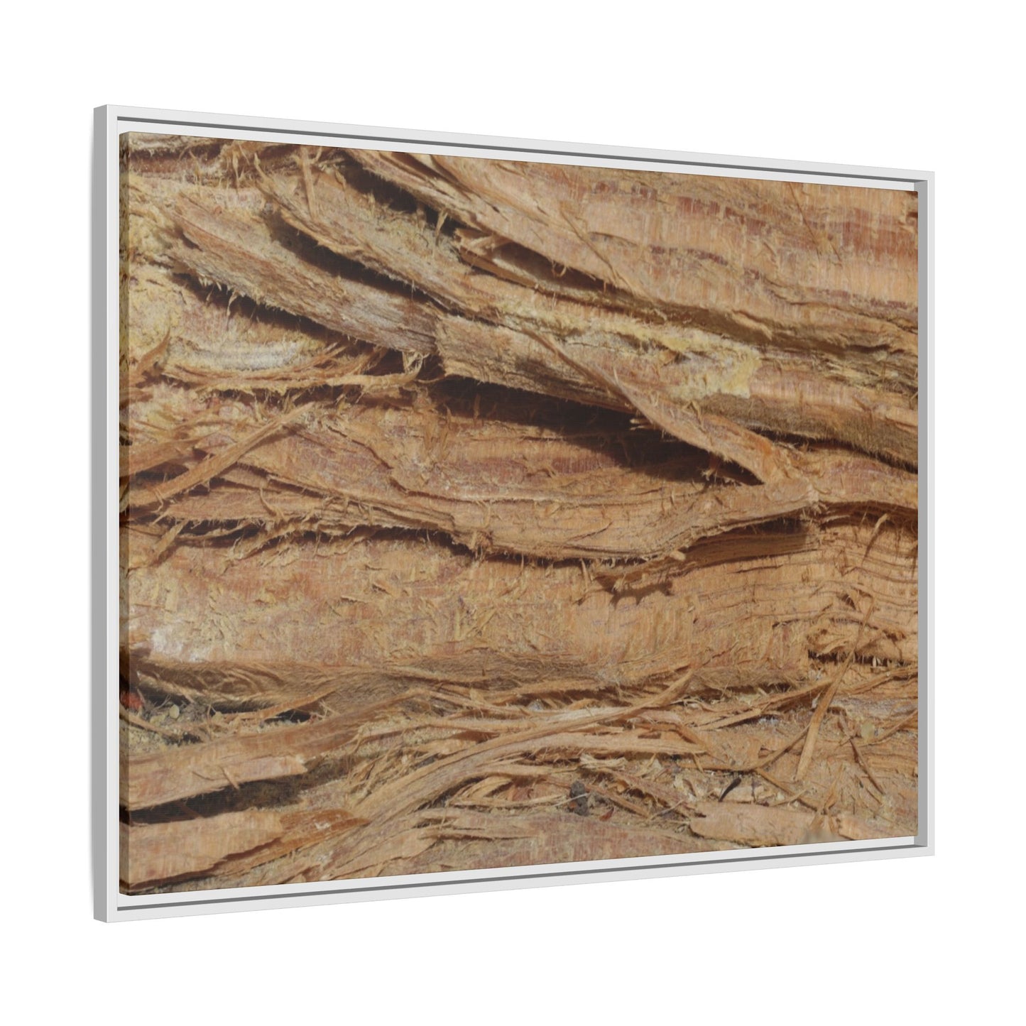 Splintered Bark - Unique Stretched Canvas Wall Art