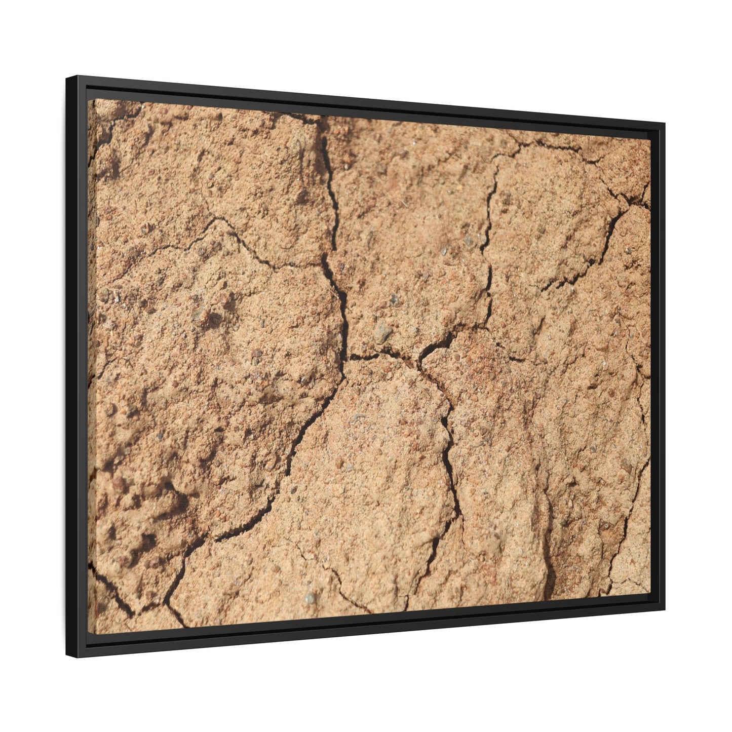 Parched Land - Unique Stretched Canvas Wall Art