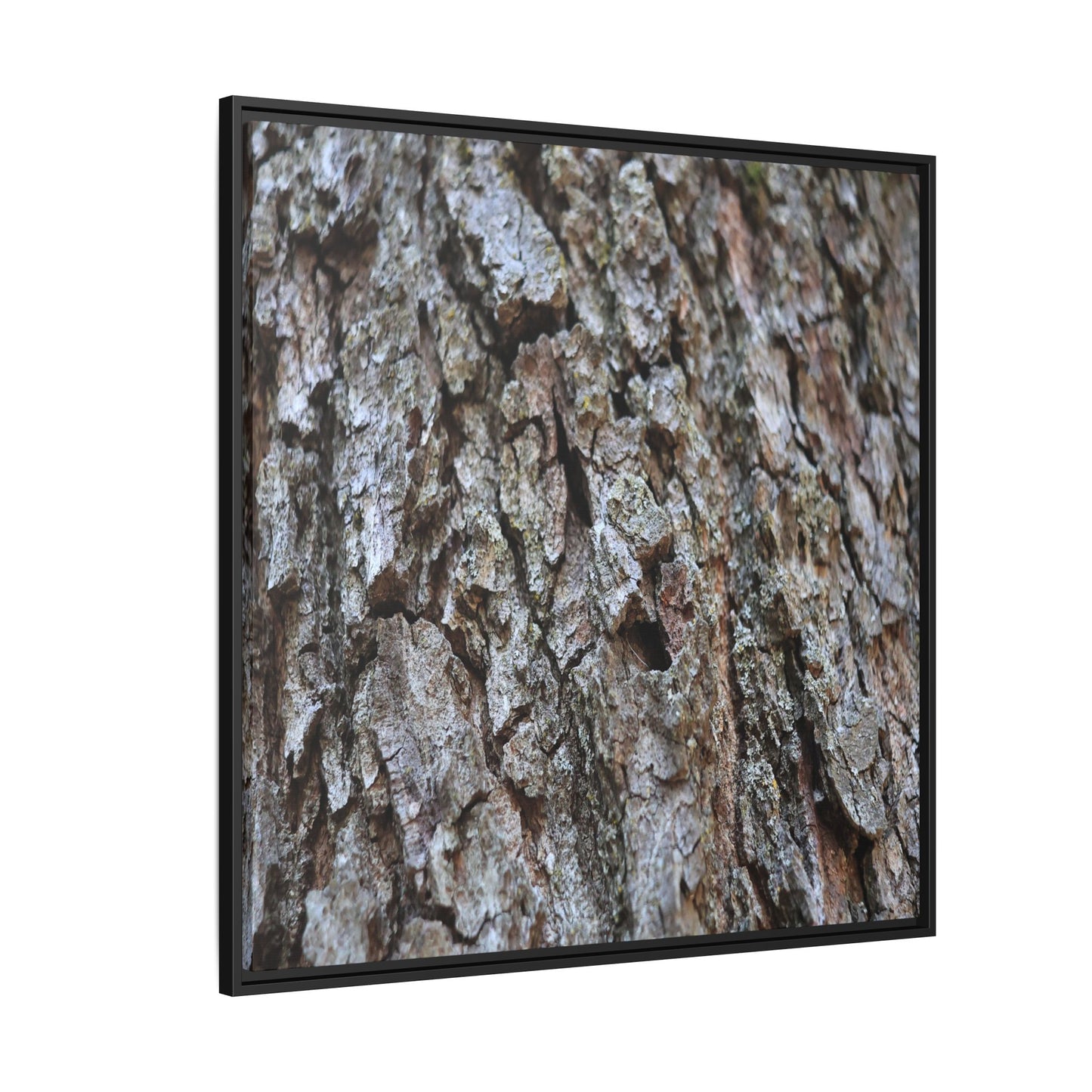 Woodland Canvas - Unique Stretched Canvas Wall Art