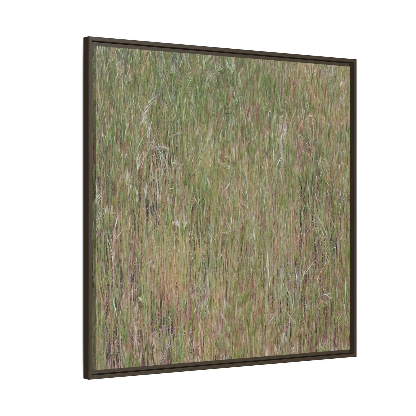 Field of Dreams - Unique Stretched Canvas Wall Art
