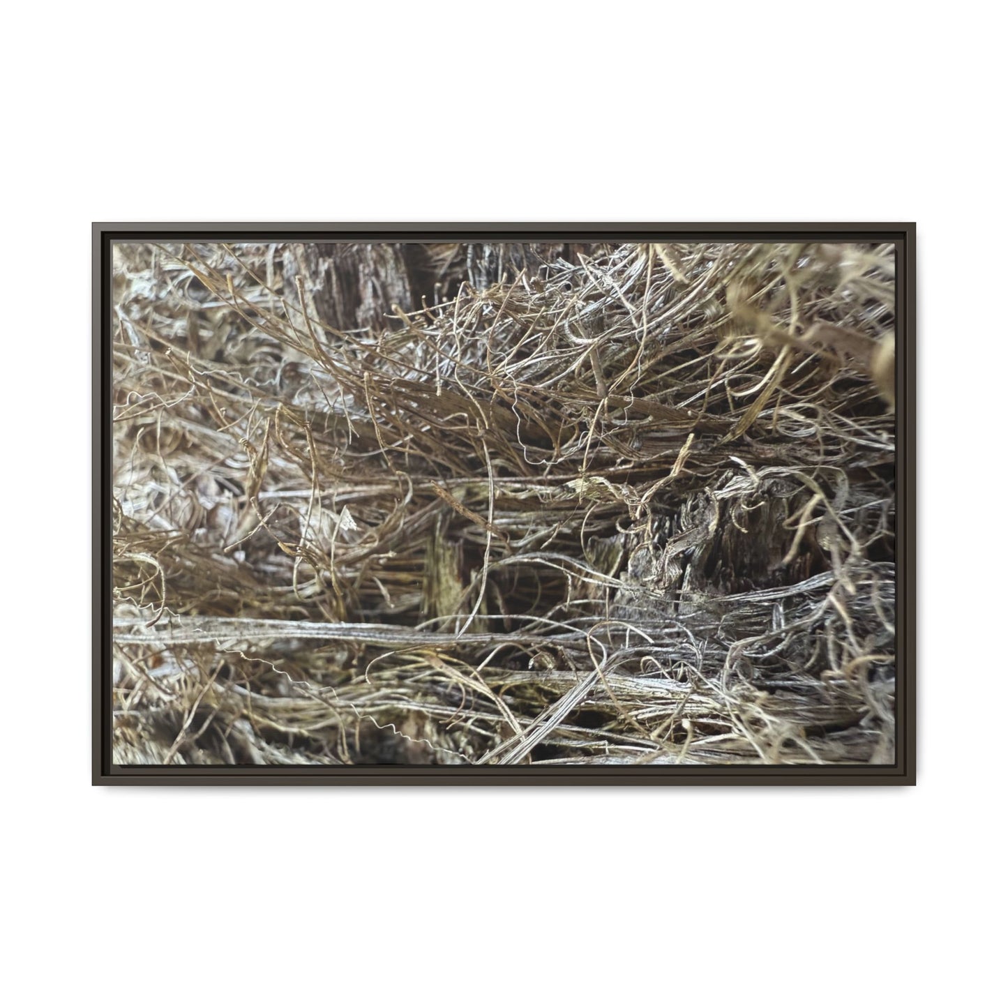Tangled Whispers of Autumn - Unique Stretched Canvas Wall Art