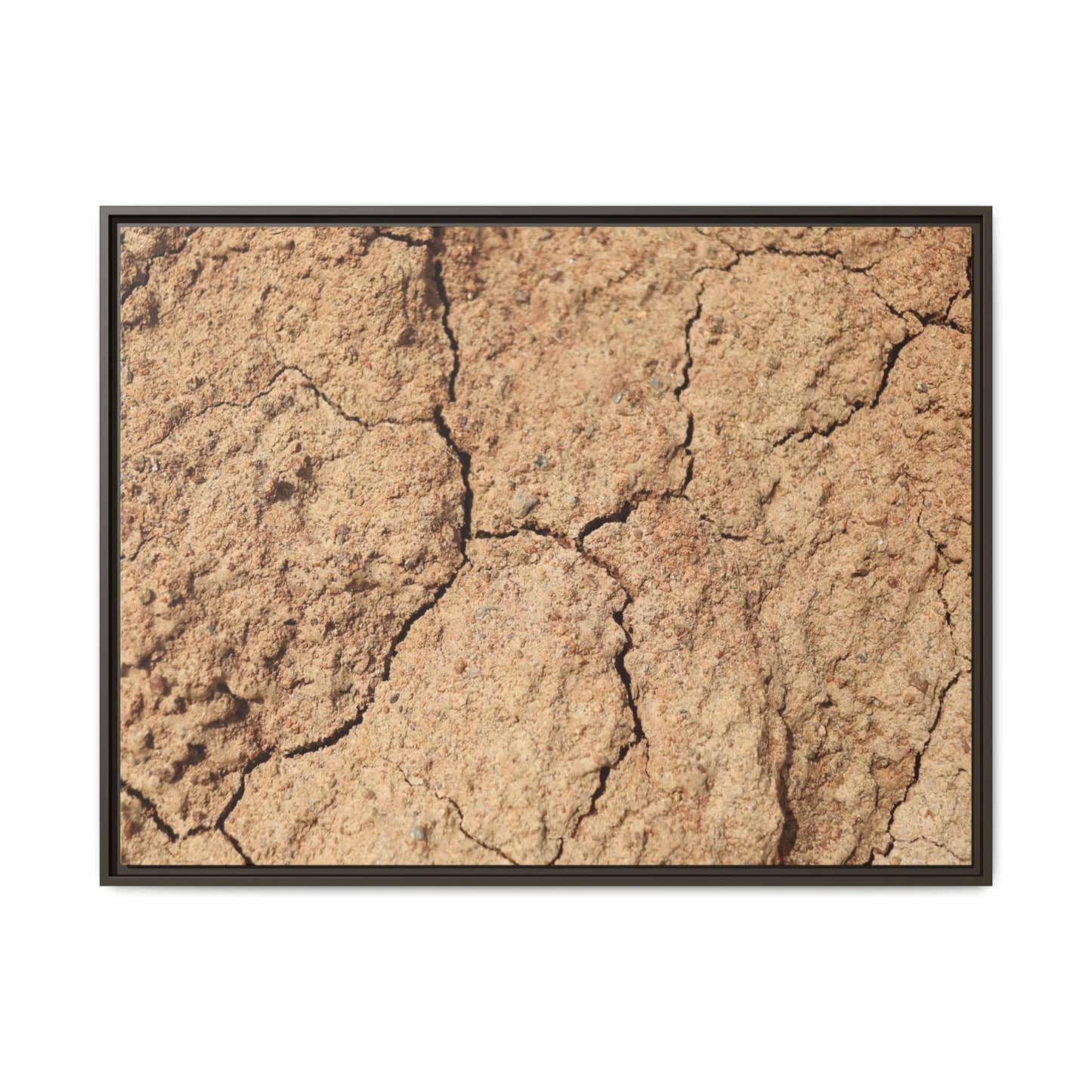 Parched Land - Unique Stretched Canvas Wall Art