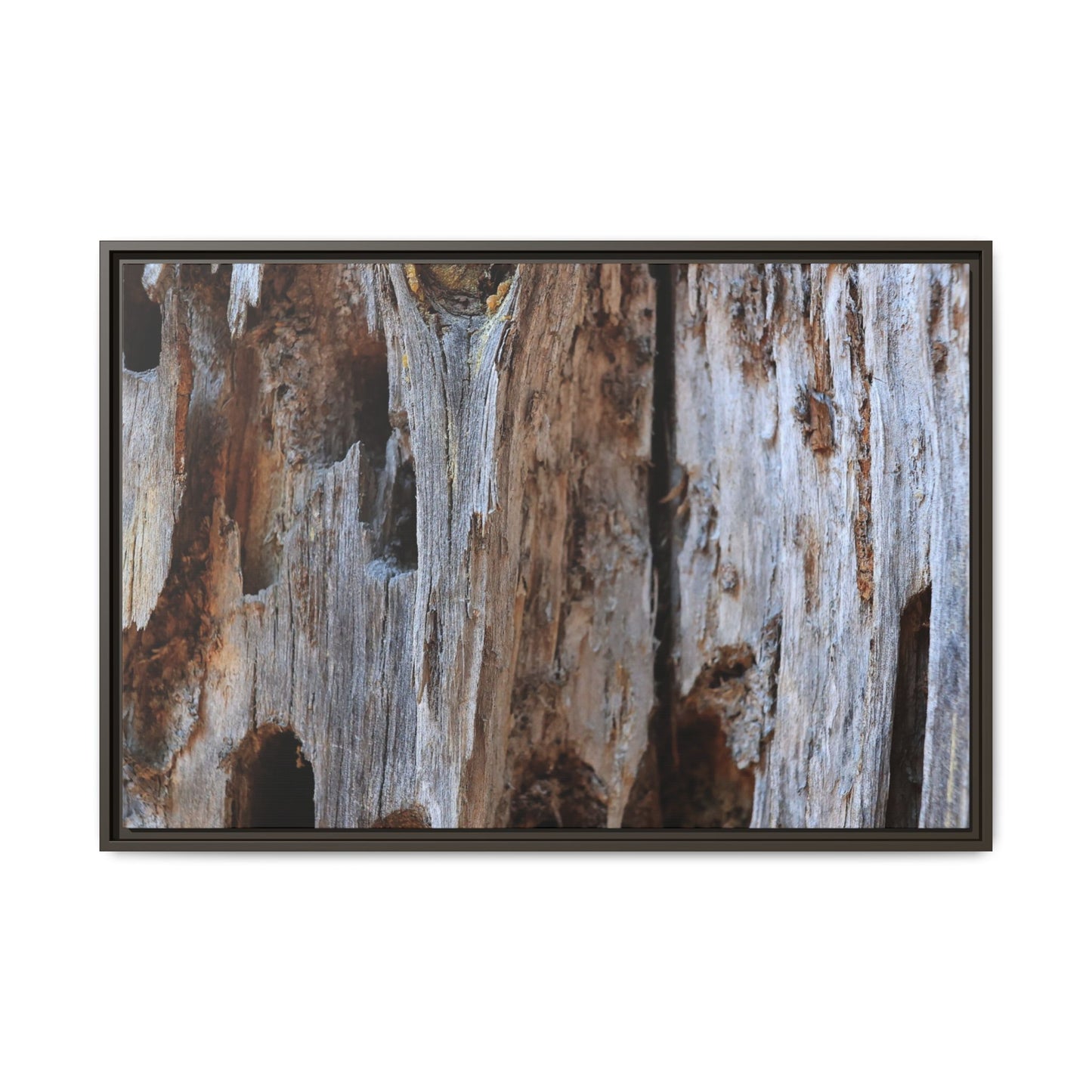 Decaying Splendor - Unique Stretched Canvas Wall Art