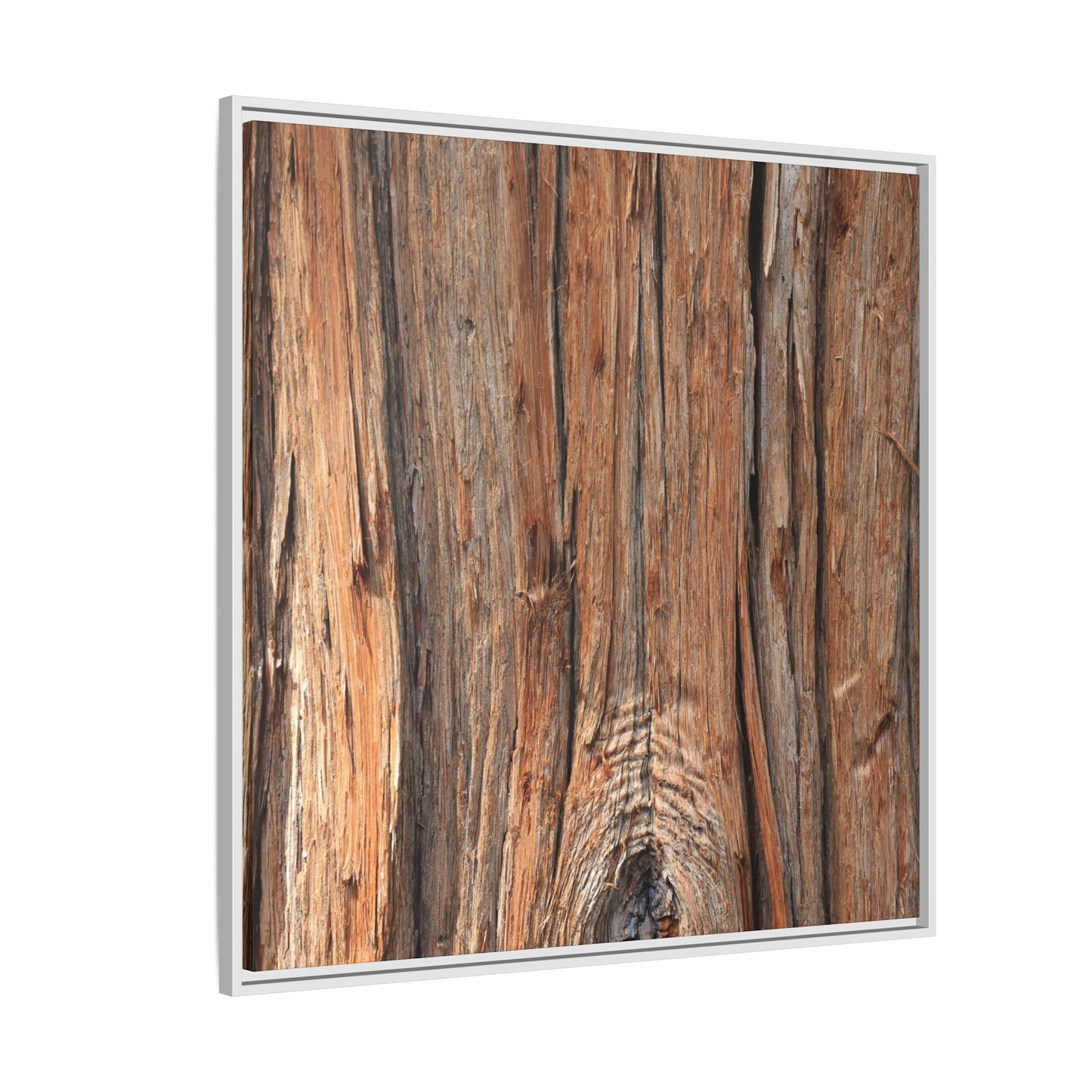 Echoes of Timber - Unique Stretched Canvas Wall Art
