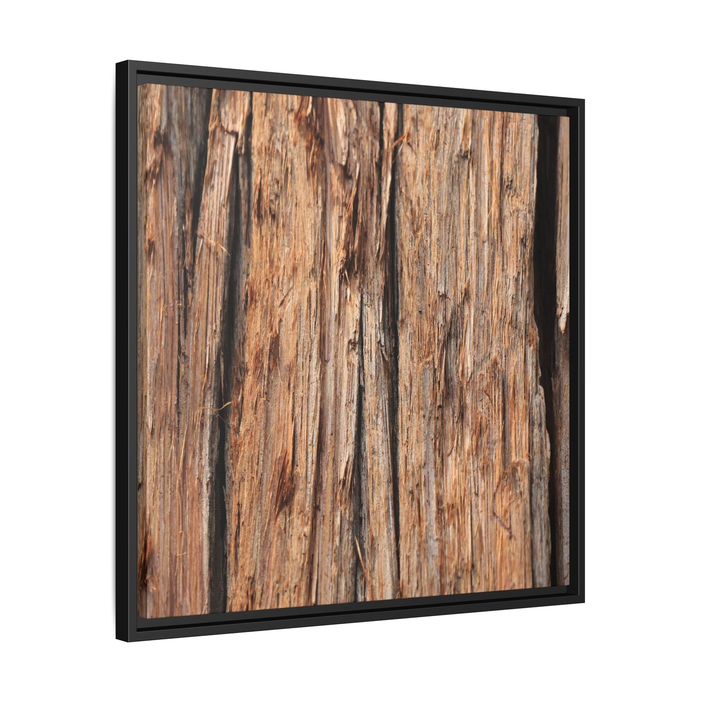 Timber Echoes - Unique Stretched Canvas Wall Art