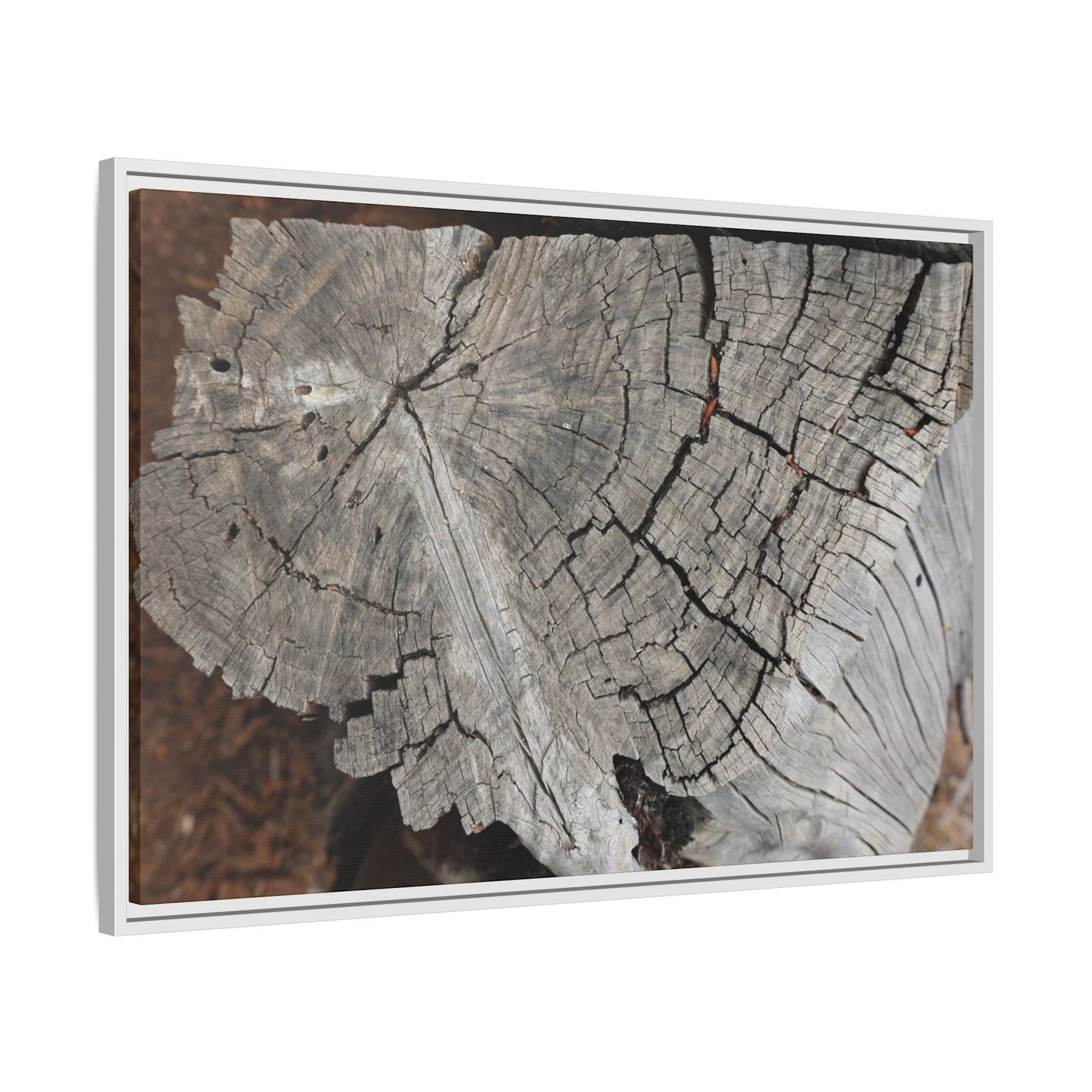 Time's Signature - Unique Stretched Canvas Wall Art