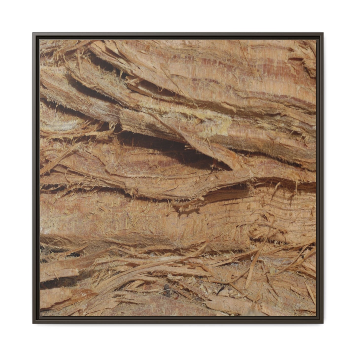 Splintered Bark - Unique Stretched Canvas Wall Art