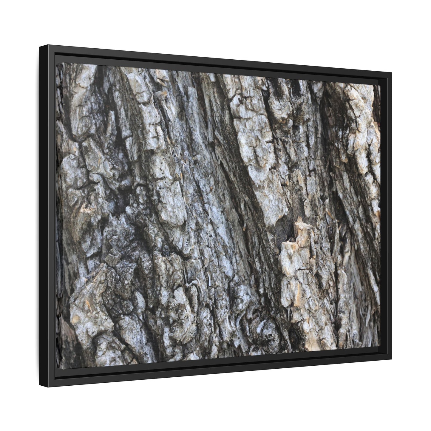 Twisted Textures - Unique Stretched Canvas Wall Art