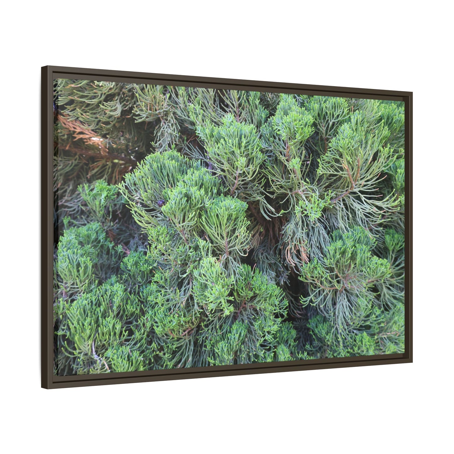 Verdant Whispers - Unique Stretched Canvas Wall Art