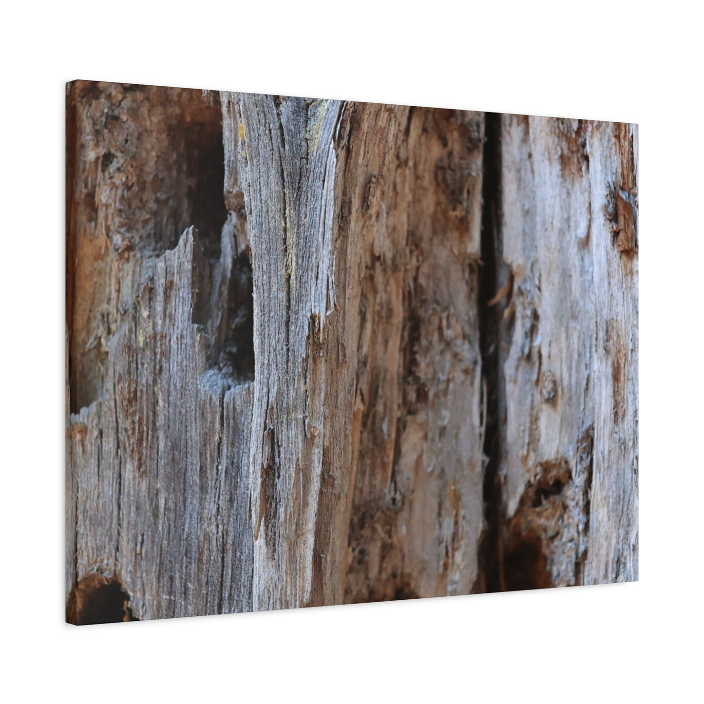 Timber Tapestry - Unique Frameless Canvas Wall Art
