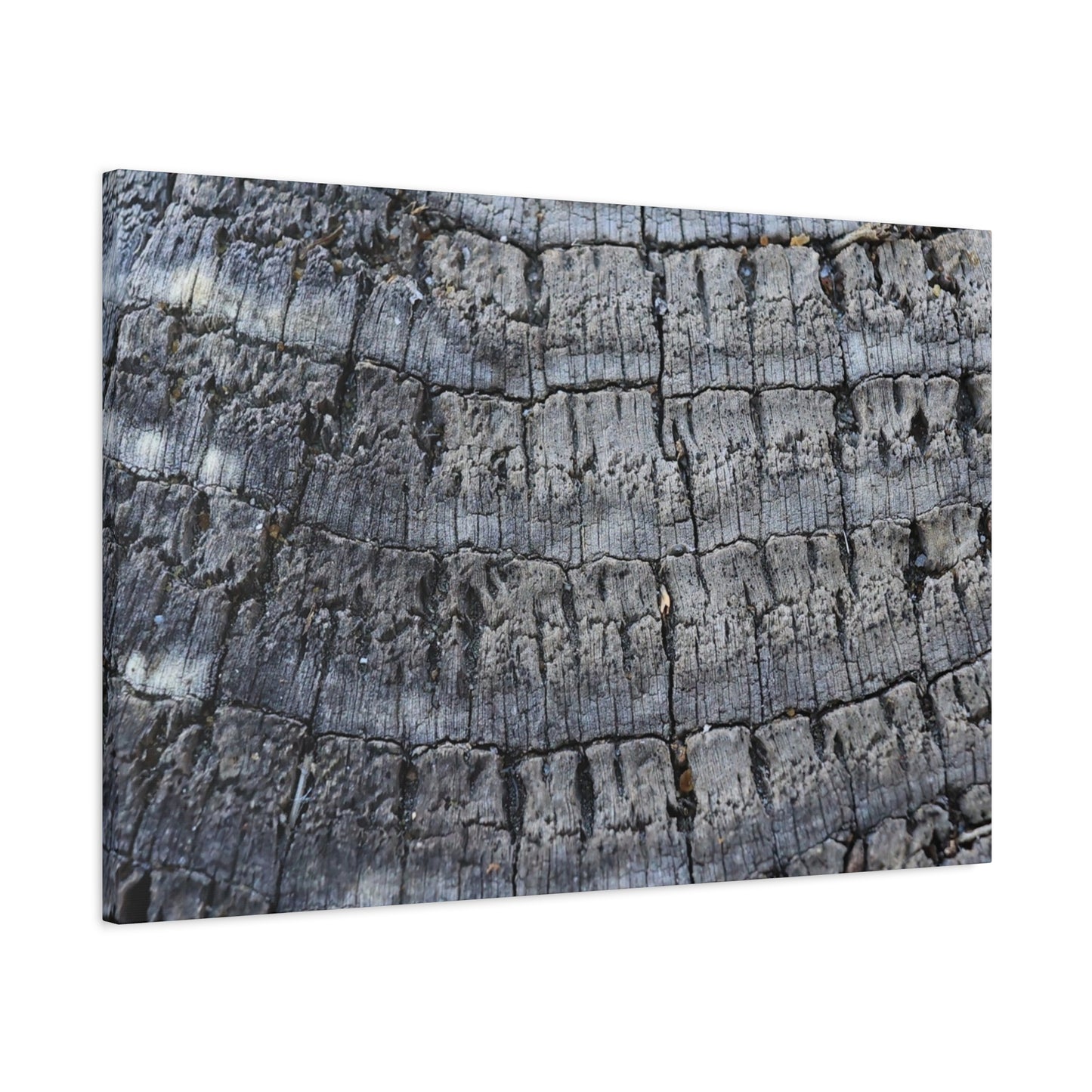 Whispers of Age - Unique Frameless Canvas Wall Art