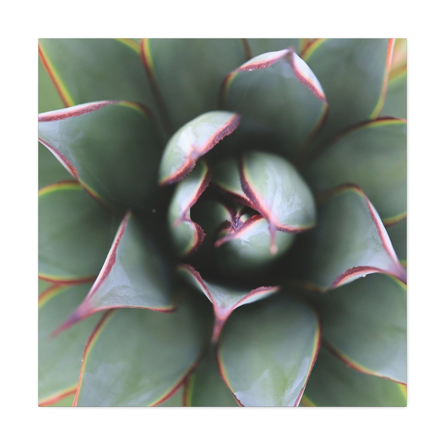 Emerald Spiral - Unique Frameless Canvas Wall Art