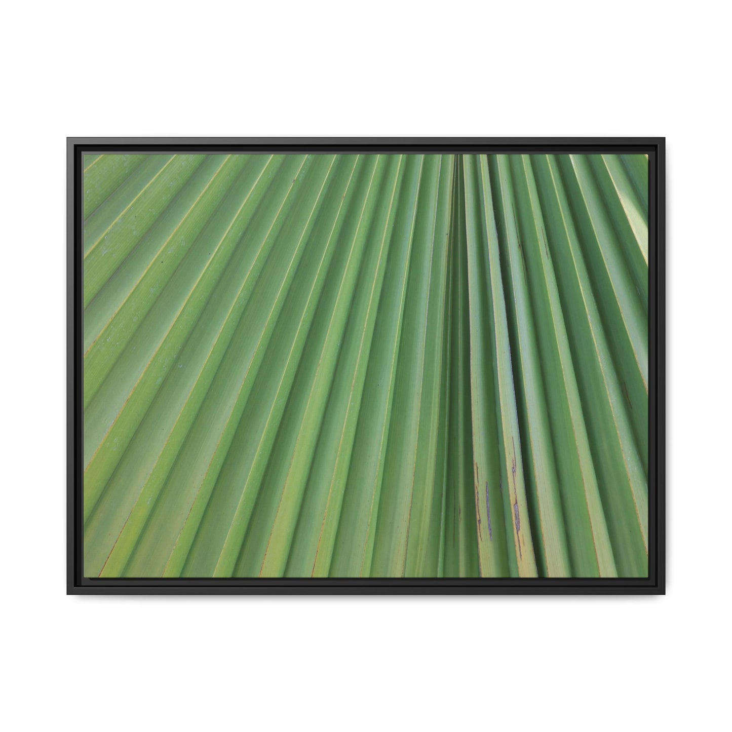 Emerald Rays - Unique Stretched Canvas Wall Art