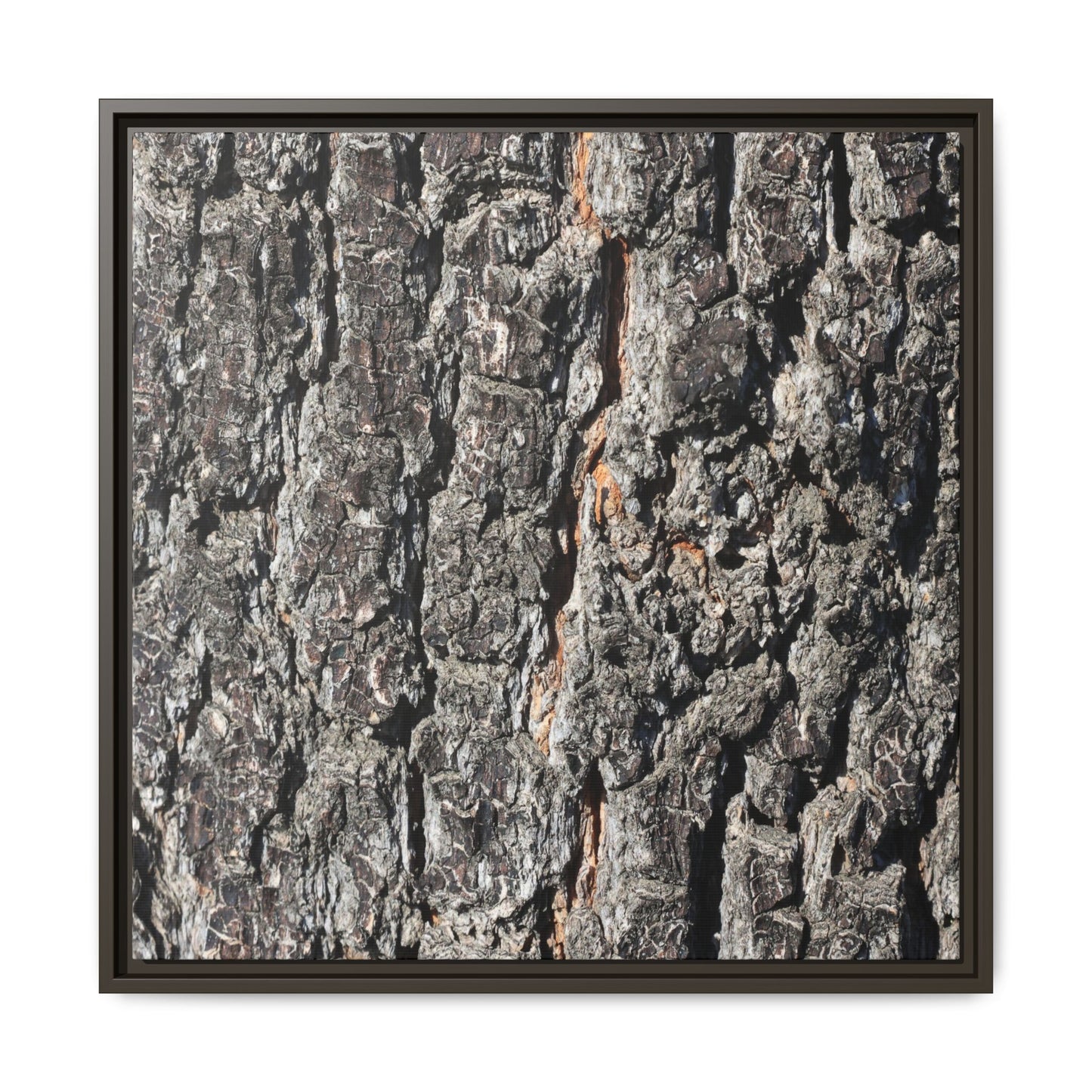 Aged Beauty - Unique Stretched Canvas Wall Art