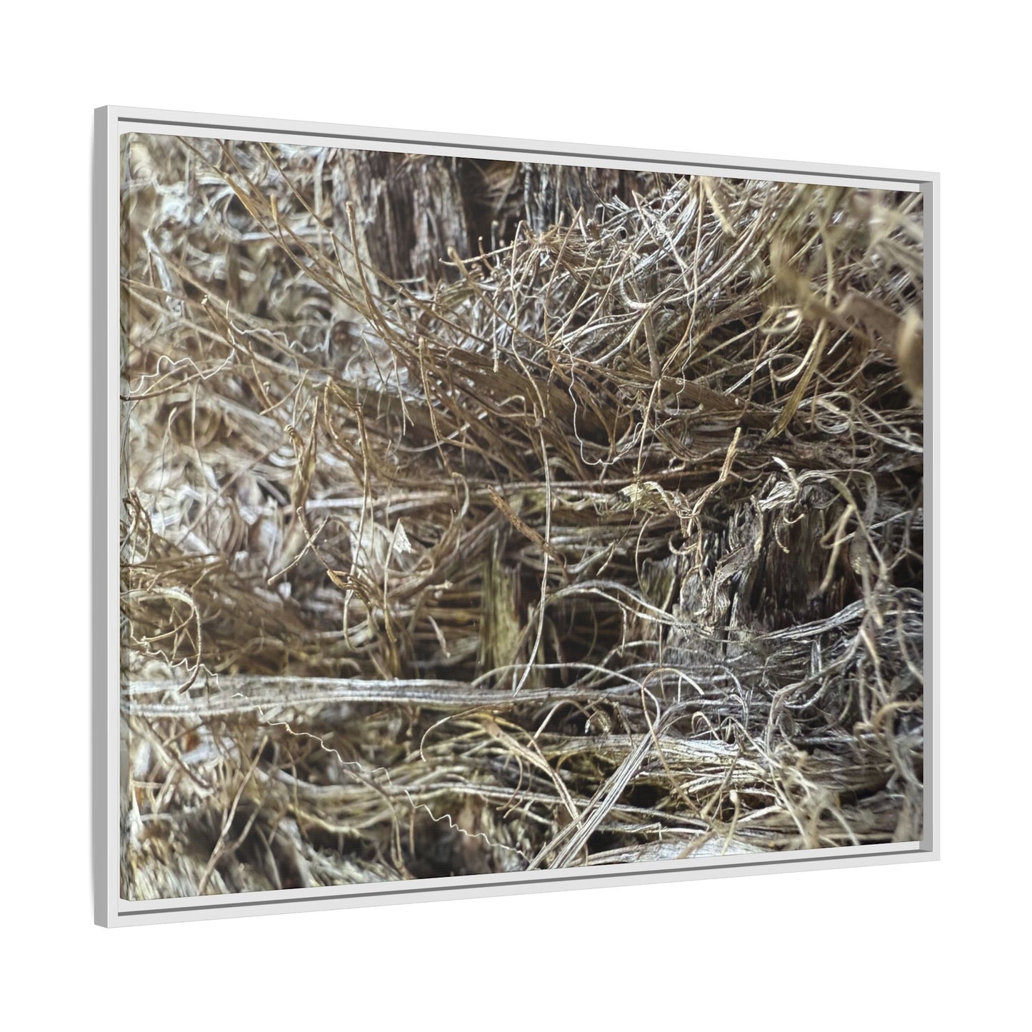 Tangled Whispers of Autumn - Unique Stretched Canvas Wall Art