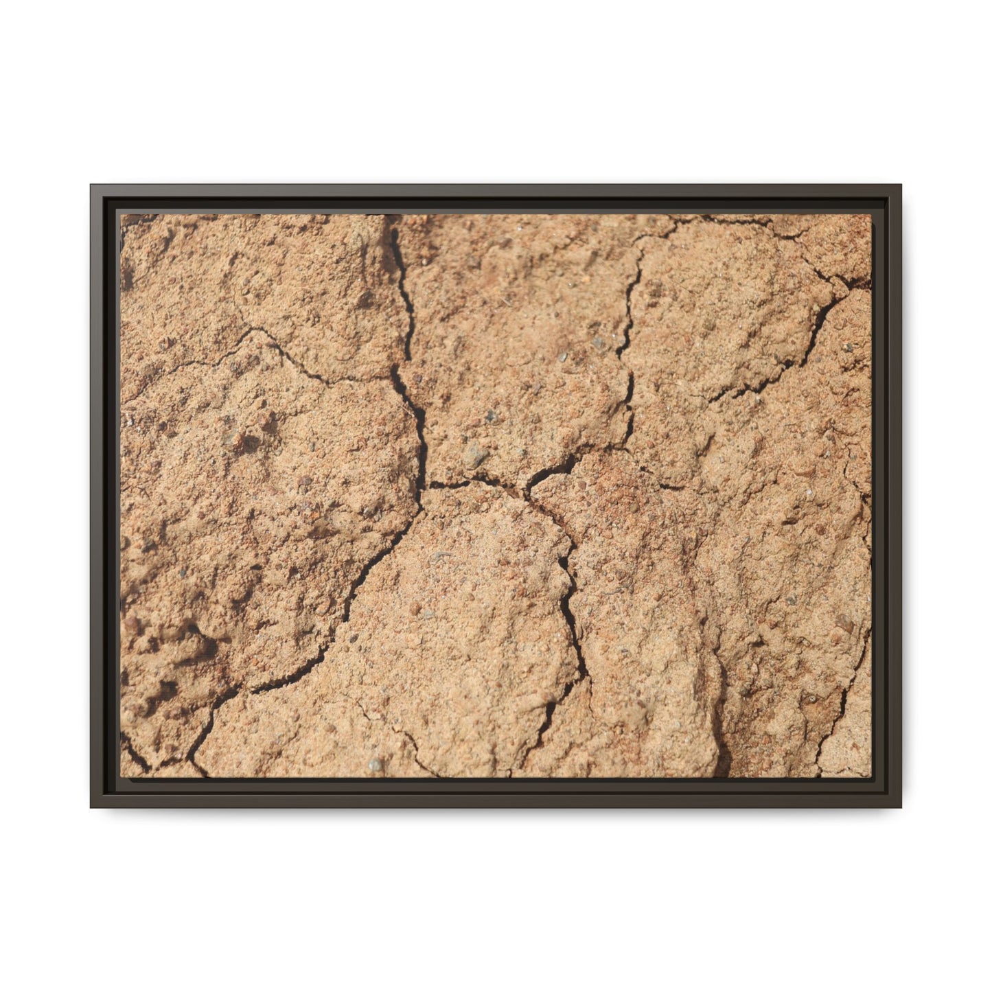 Parched Land - Unique Stretched Canvas Wall Art