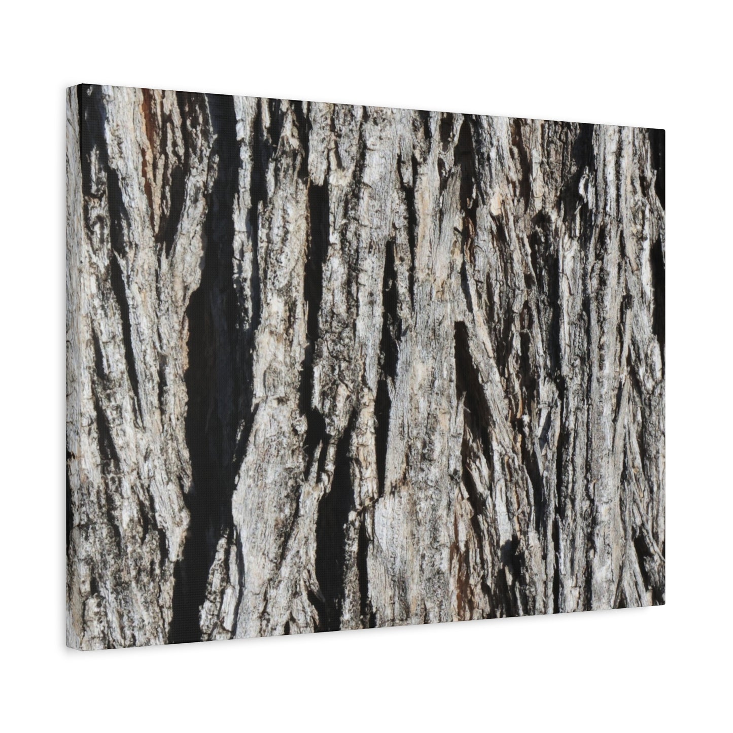 Bark Layers in Monochrome - Unique Frameless Canvas Wall Art
