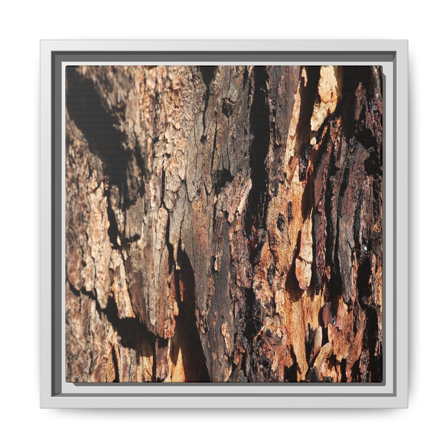 Rugged Beauty - Unique Stretched Canvas Wall Art