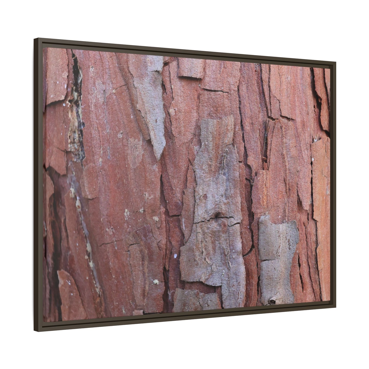 Peeling Bark - Unique Stretched Canvas Wall Art