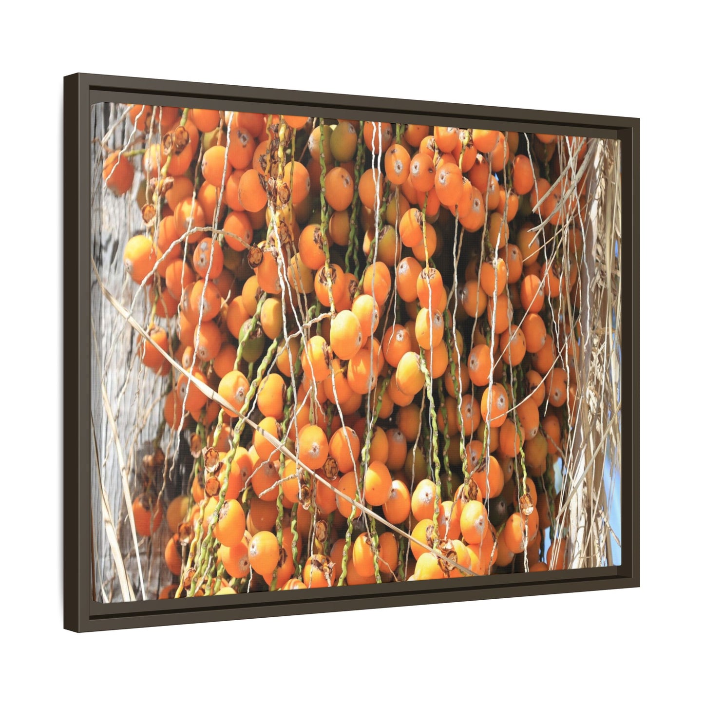 Clusters of Sunlight - Unique Canvas Wall Art