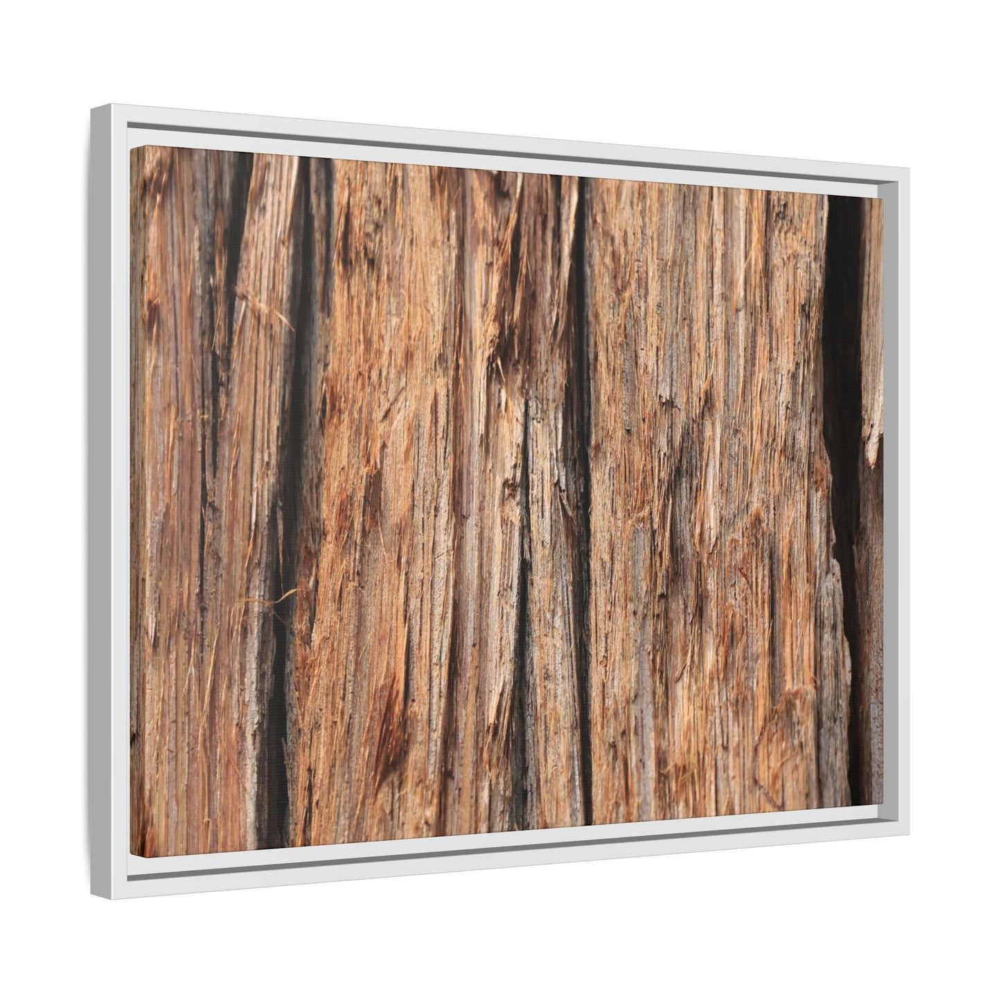 Timber Echoes - Unique Stretched Canvas Wall Art