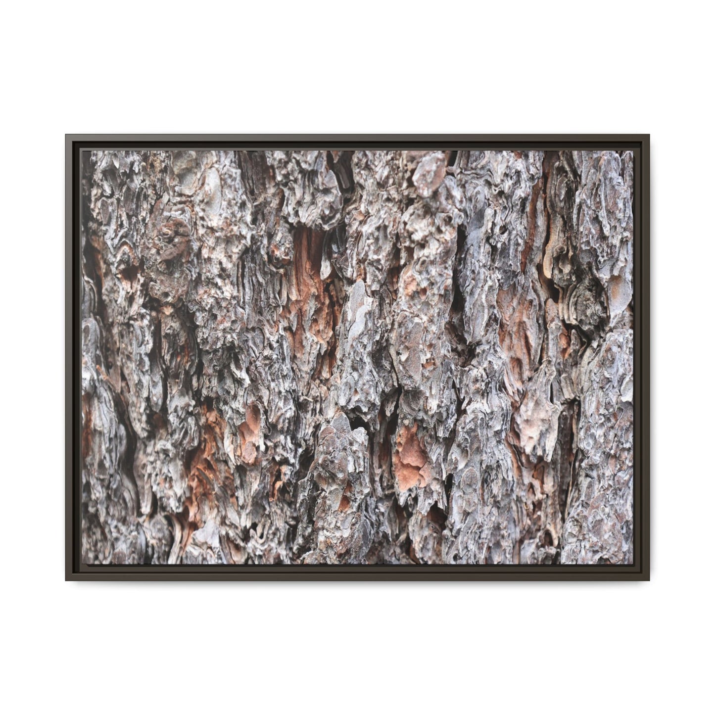 Rugged Cortex - Unique Stretched Canvas Wall Art
