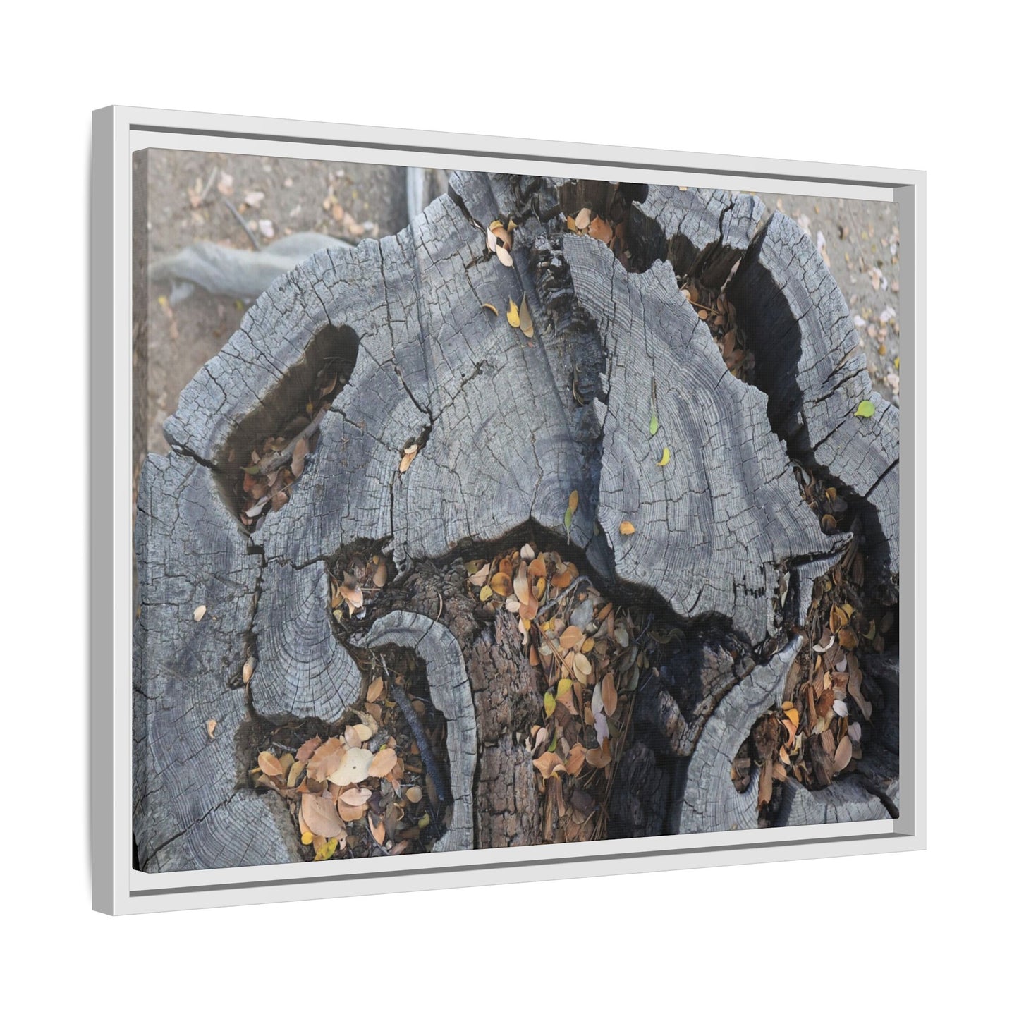 Time's Fractal Memory - Unique Stretched Canvas Wall Art