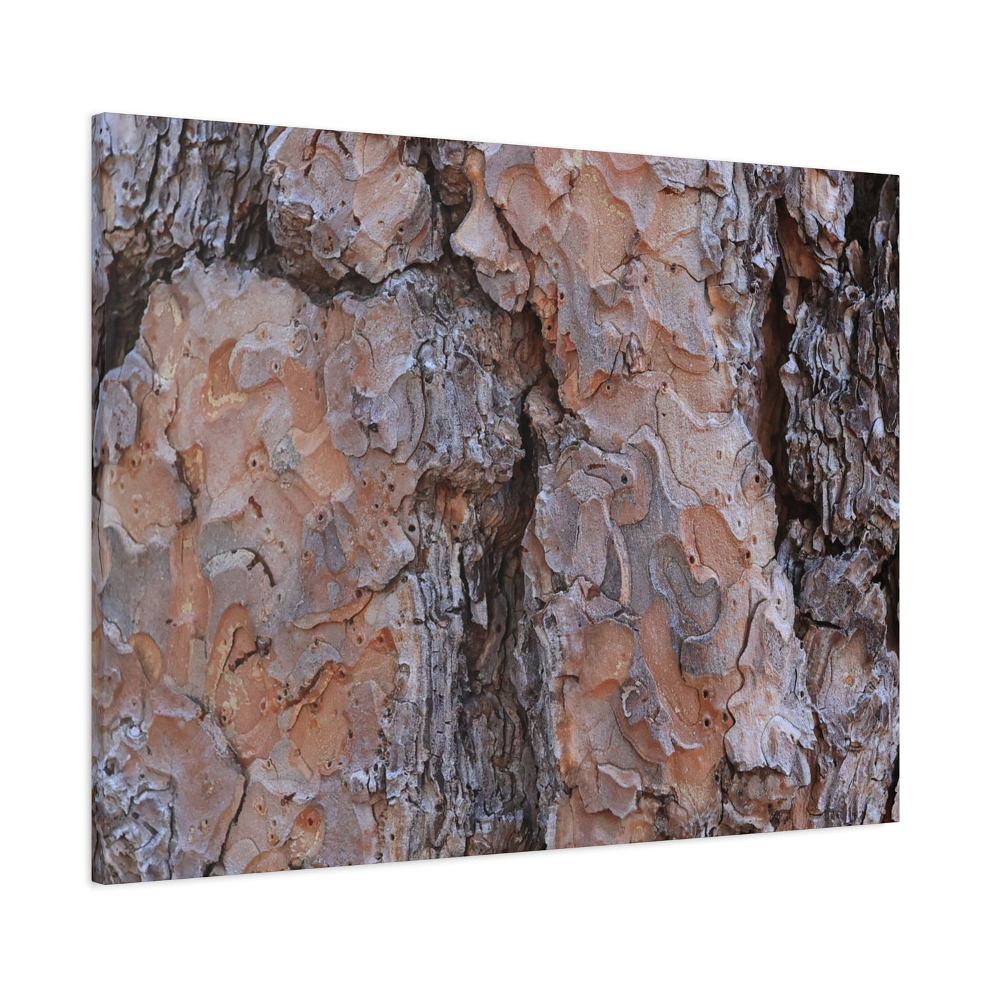 Arboreal Armor - Unique Frameless Canvas Wall Art