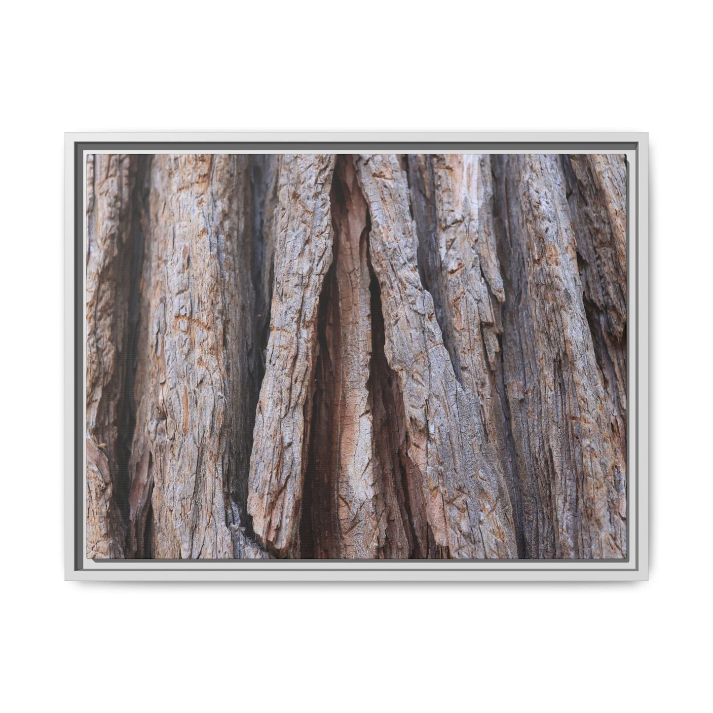 Nature's Sculpture - Unique Stretched Canvas Wall Art