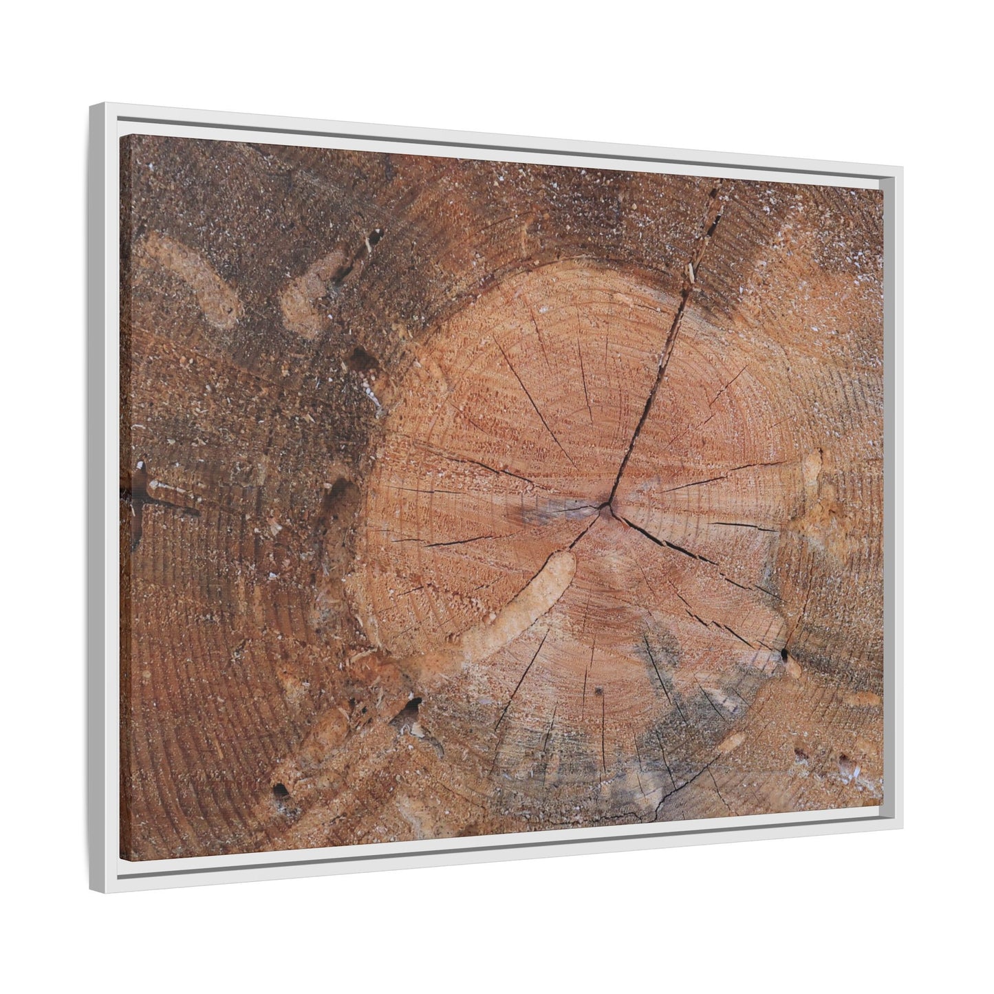 Concentric Memories - Unique Stretched Canvas Wall Art