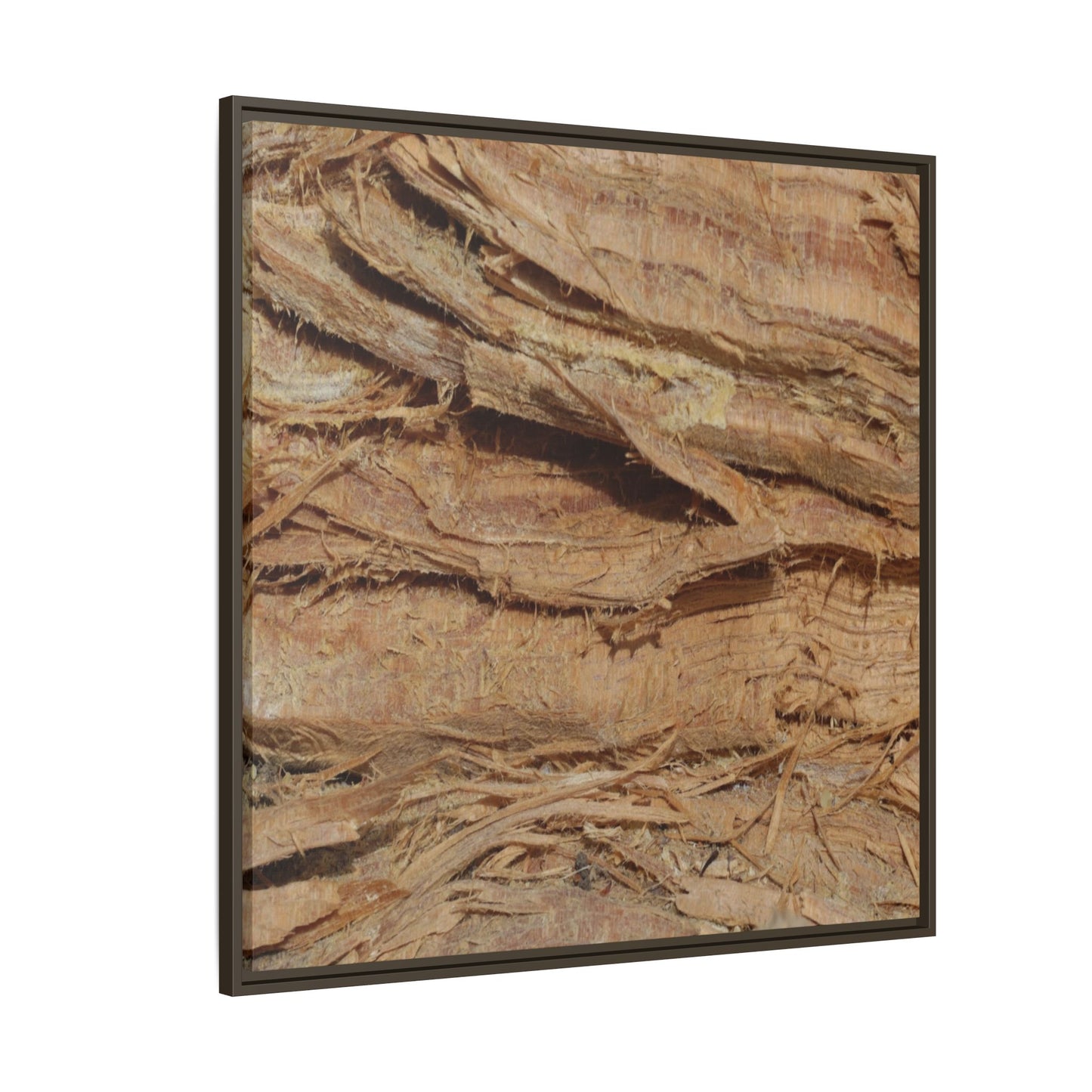 Splintered Bark - Unique Stretched Canvas Wall Art