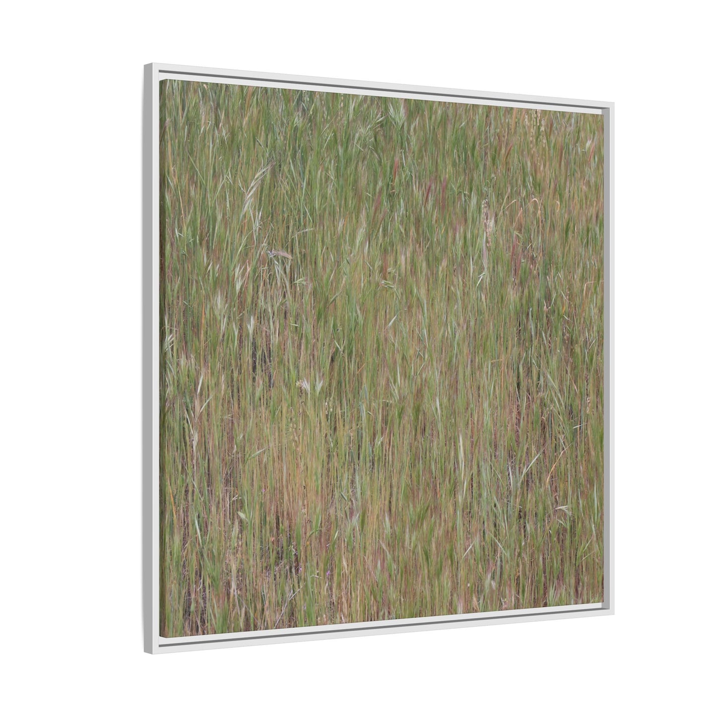 Field of Dreams - Unique Stretched Canvas Wall Art