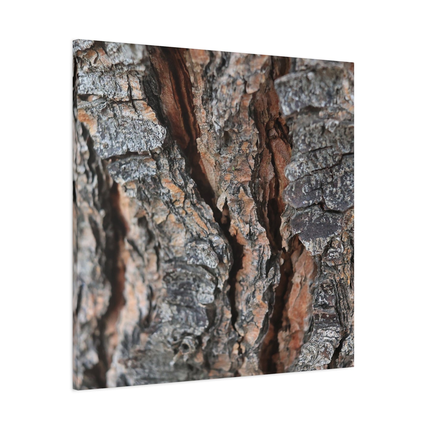 Rough Whispers - Unique Frameless Canvas Wall Art