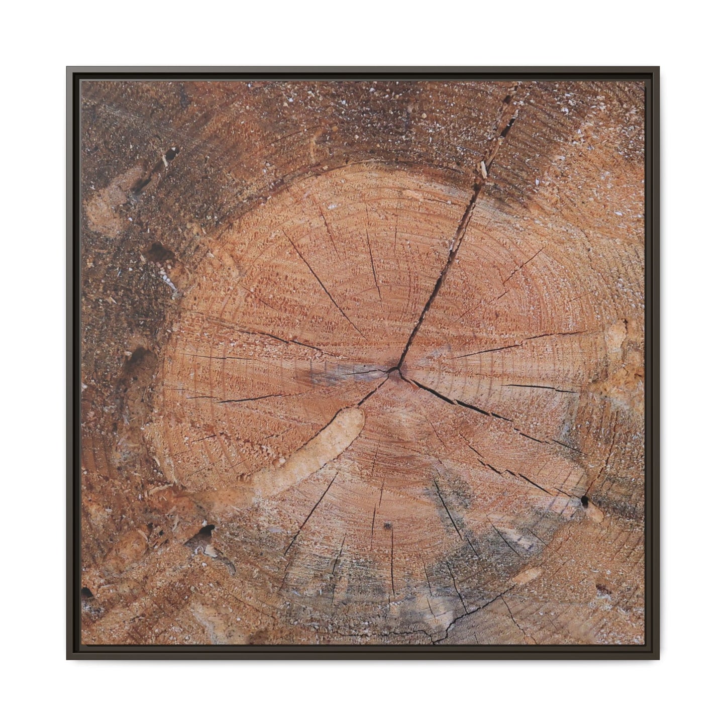 Concentric Memories - Unique Stretched Canvas Wall Art