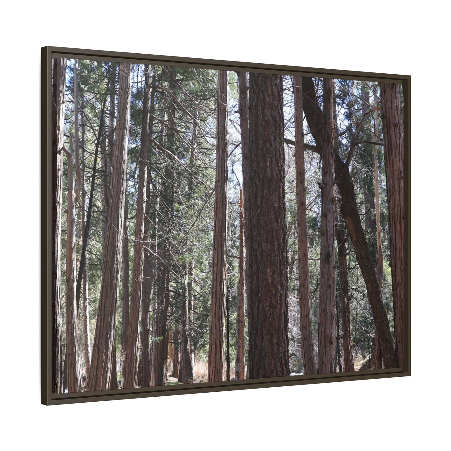 Forest Cathedral - Unique Stretched Canvas Wall Art