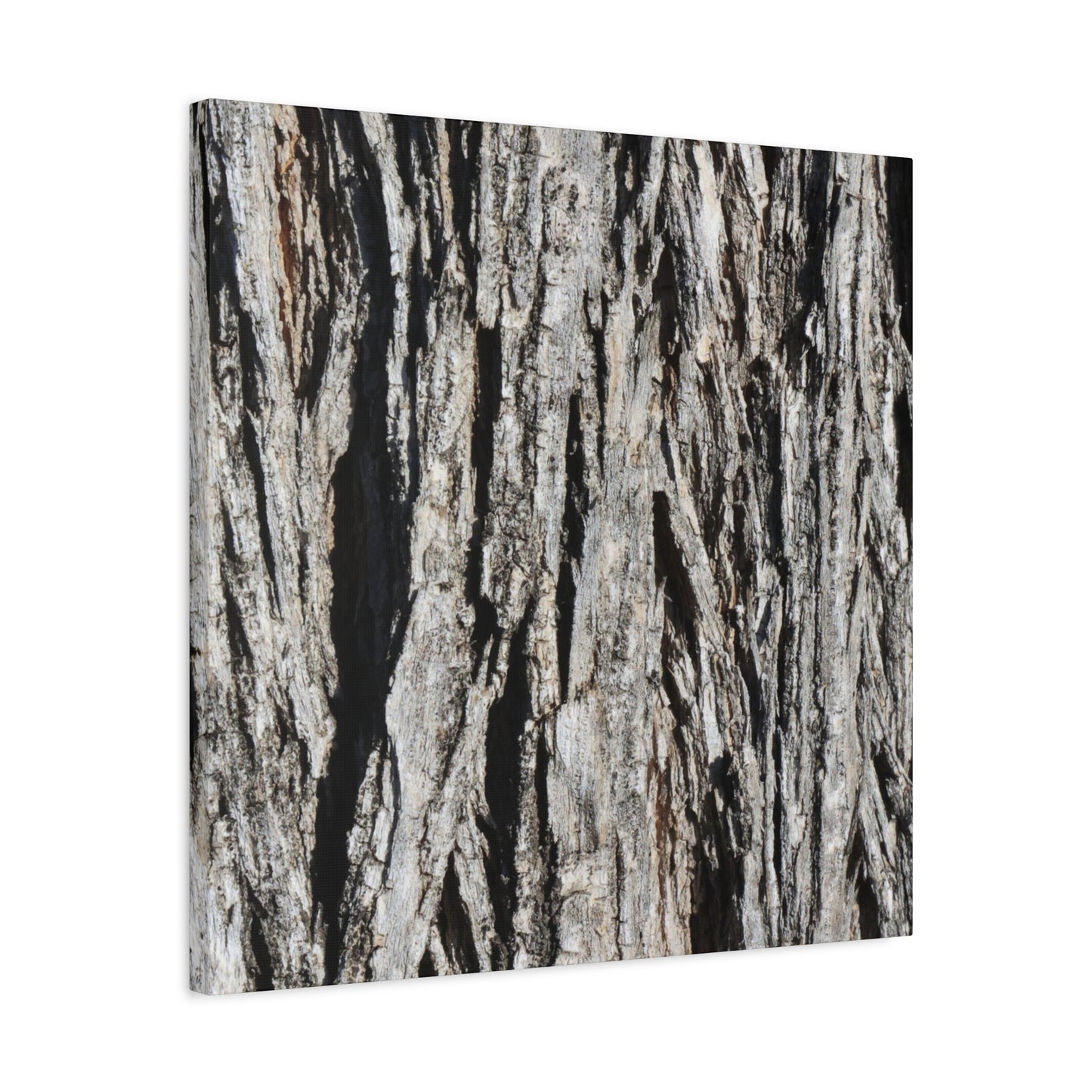 Bark Layers in Monochrome - Unique Frameless Canvas Wall Art