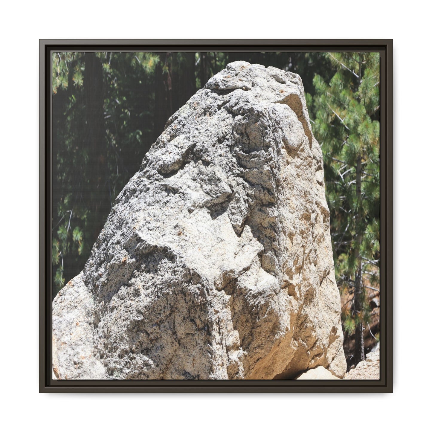 Stone's Silent Whisper - Unique Stretched Canvas Wall Art