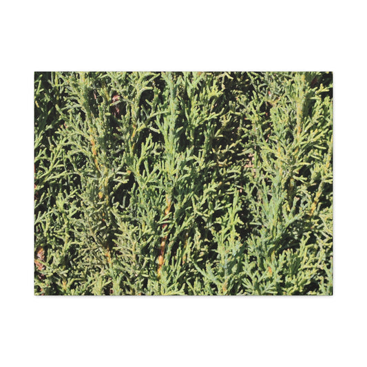 Emerald Tapestry - Unique Frameless Canvas Wall Art - Art By Earth