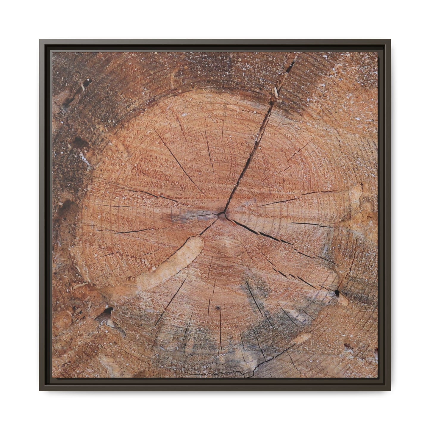 Concentric Memories - Unique Stretched Canvas Wall Art