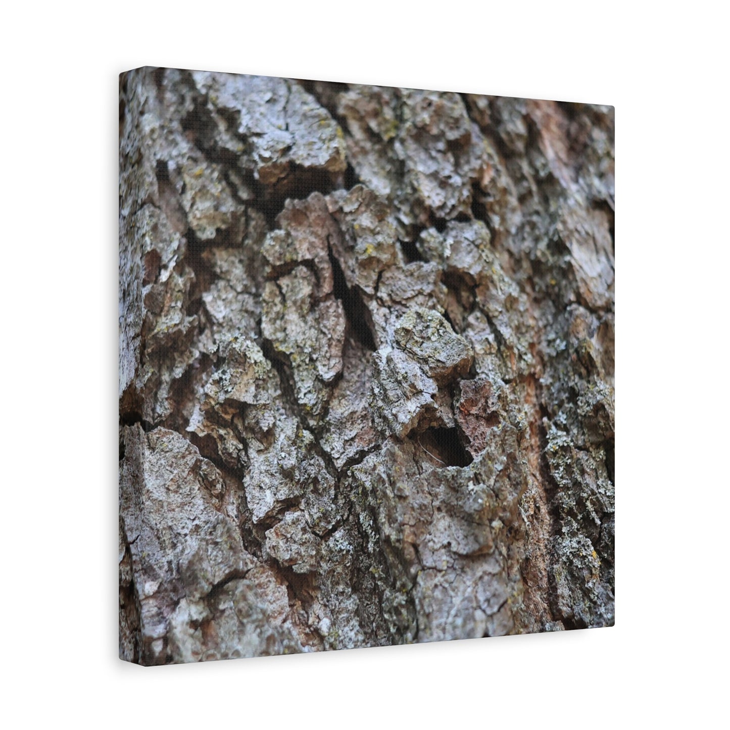 Cracked Echoes - Unique Frameless Canvas Wall Art