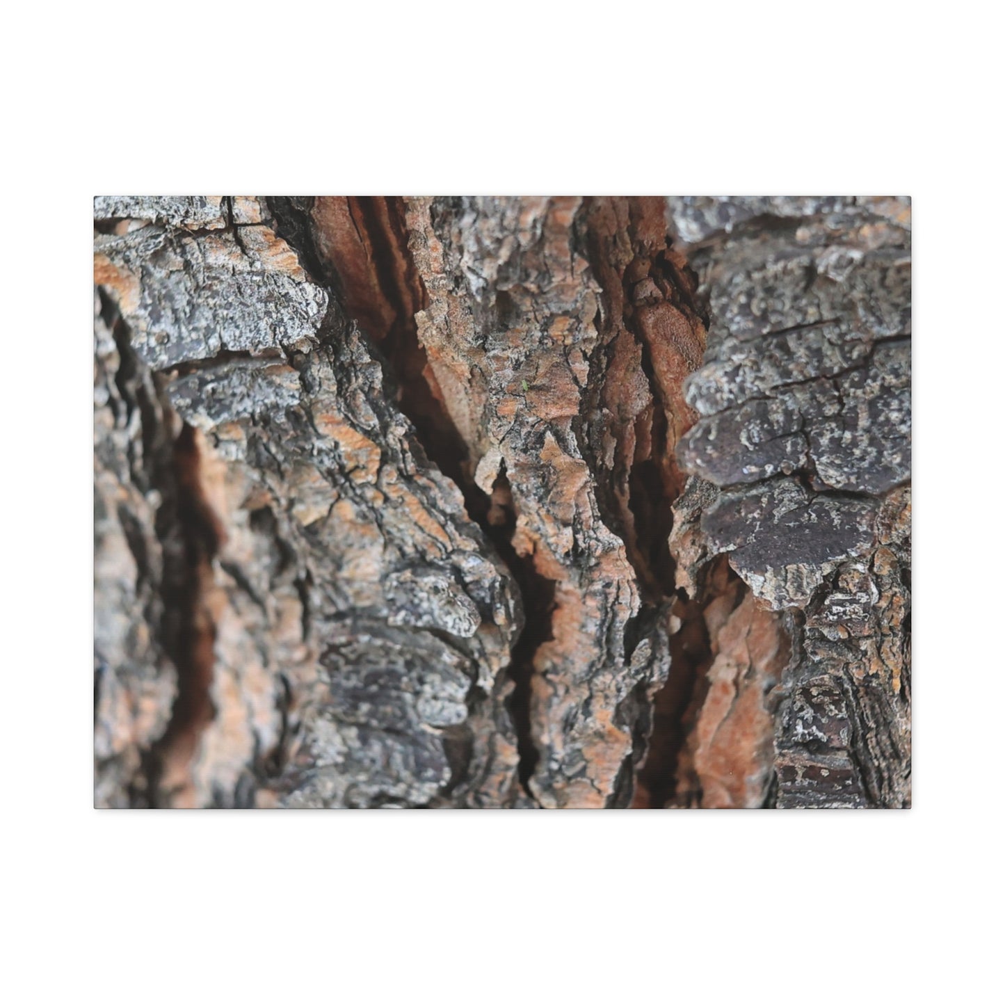 Rough Whispers - Unique Frameless Canvas Wall Art