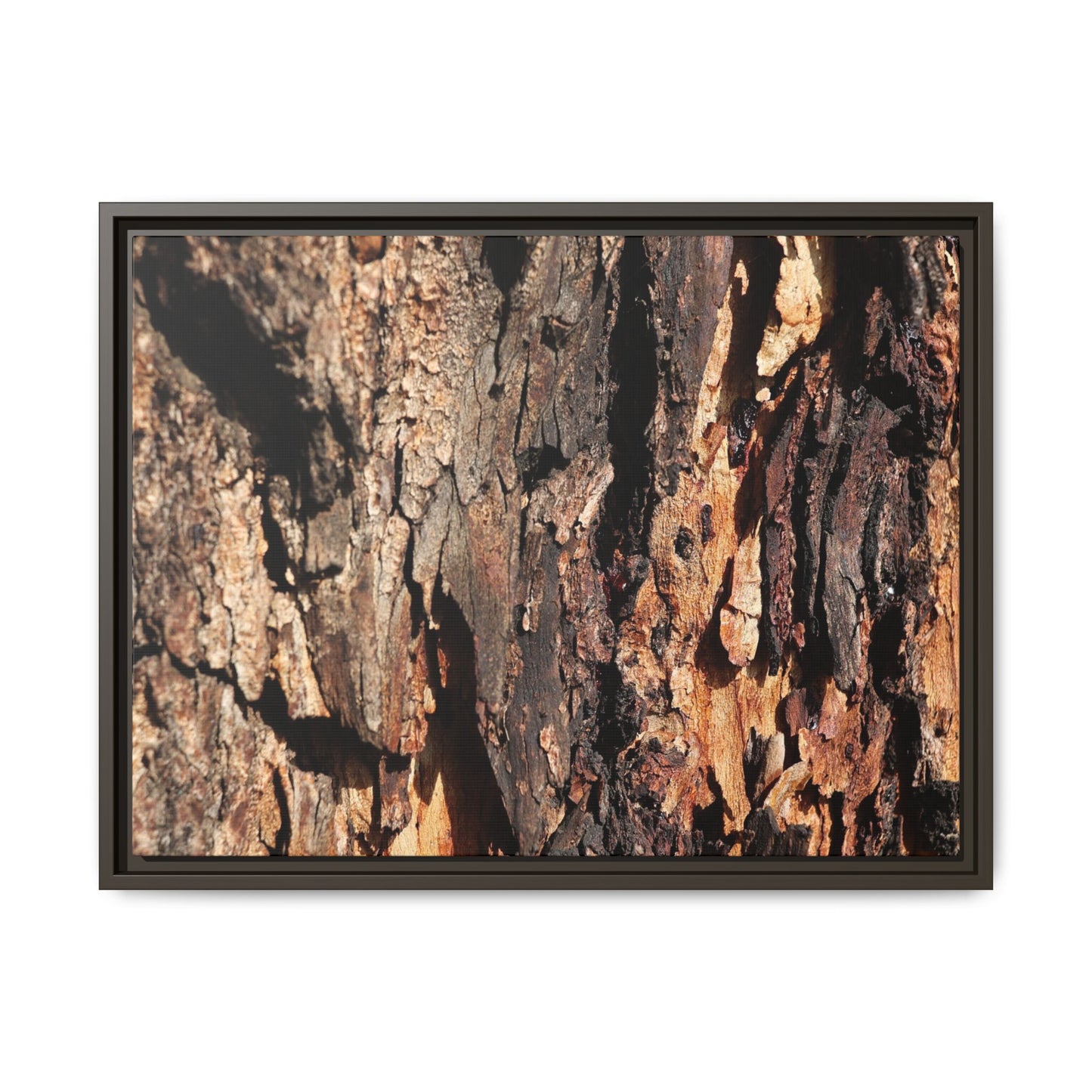 Rugged Beauty - Unique Stretched Canvas Wall Art