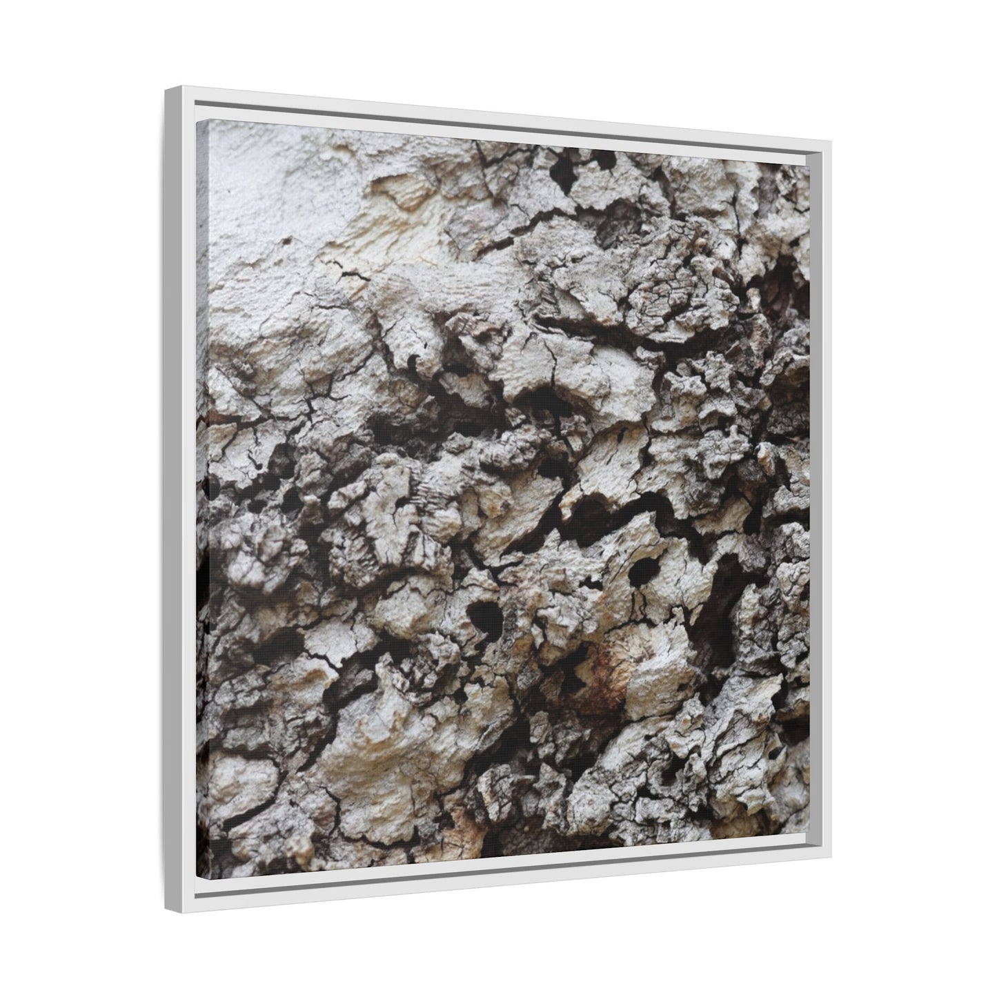 Cracked Terrain - Unique Stretched Canvas Wall Art