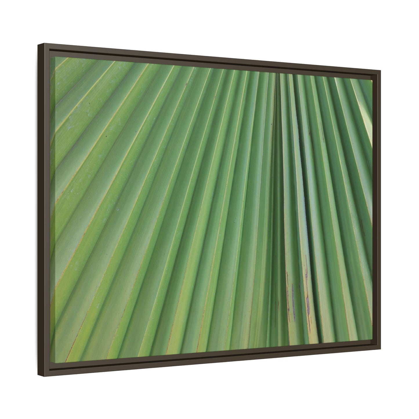 Emerald Rays - Unique Stretched Canvas Wall Art