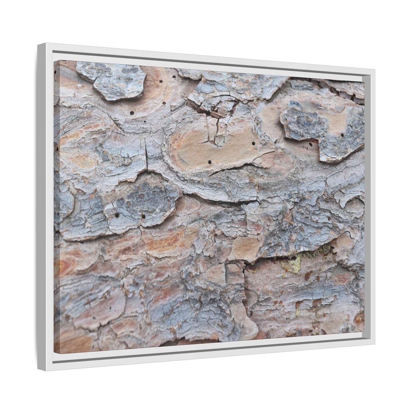 Peeling Memories - Unique Stretched Canvas Wall Art