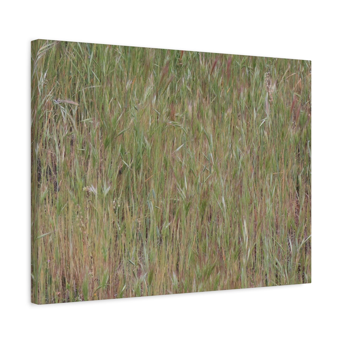 Whispers of the Prairie - Unique Frameless Canvas Wall Art