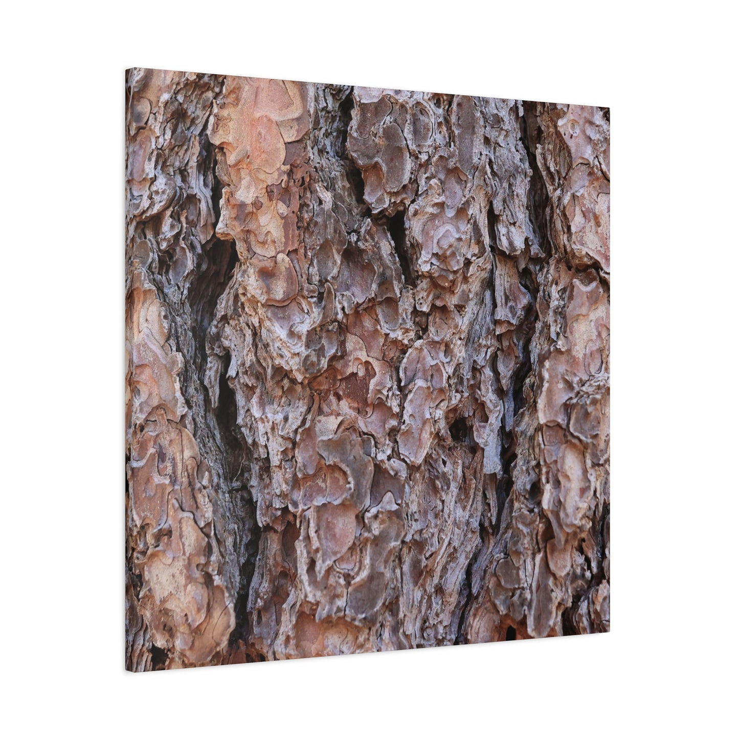 Rough Canvas - Unique Frameless Canvas Wall Art