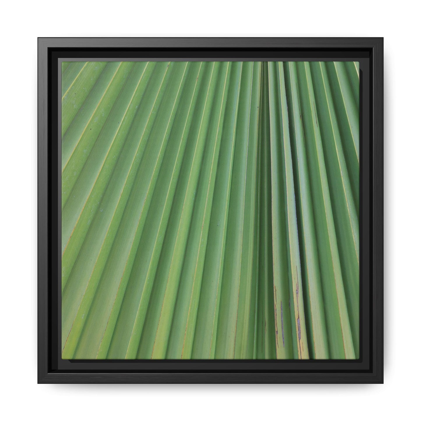 Emerald Rays - Unique Stretched Canvas Wall Art