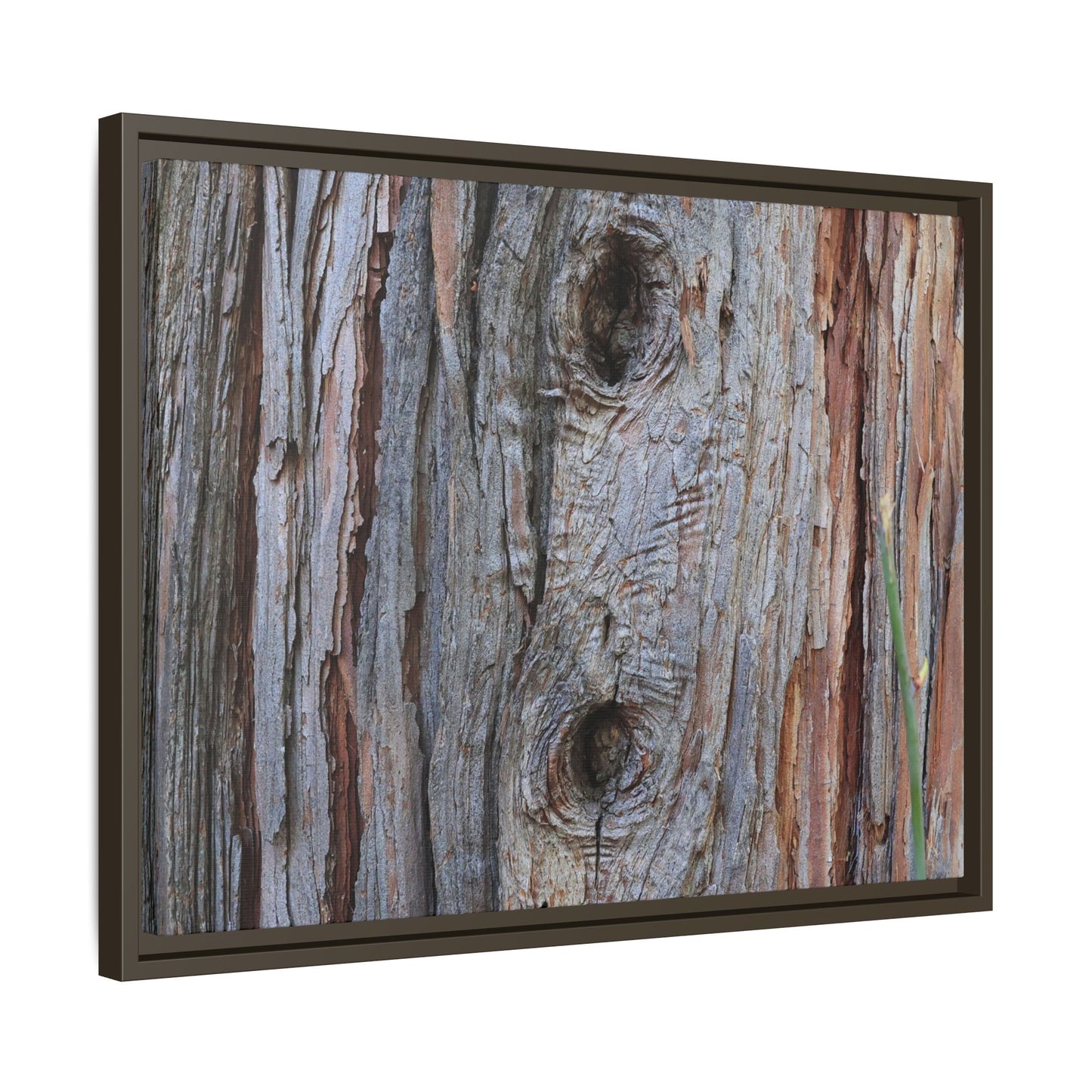 Knotty Nature - Unique Stretched Canvas Wall Art
