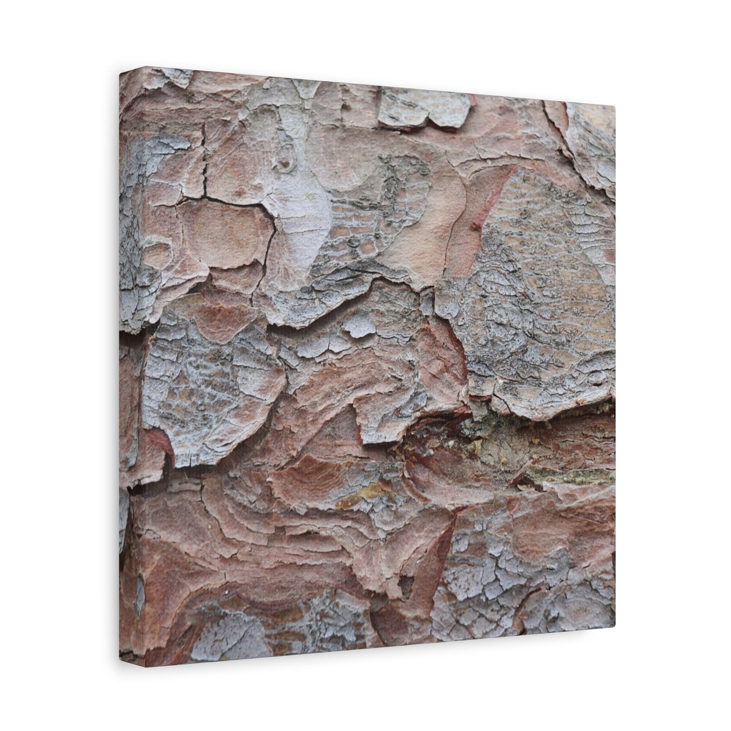 Textural Landscape - Unique Frameless Canvas Wall Art